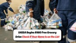 Unlock Your R980 Free Grocery Package: SASSA's Huge July Food Support Starts 18th!