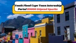 Over 1 Million Eager Applicants Battle for Coveted R9,000 Cape Town Internship Slots!