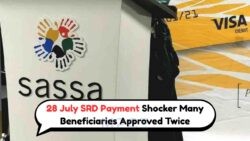 Double July SRD Payment Alert: 28 July Payout Lands in Accounts for Select IDs!