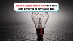 Eskom Promises a Loadshedding-Free Winter if Power Usage Stays Under 13 GW!
