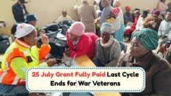 SASSA Confirms July's Final R2,335 Grant Delivered: Fewer Than 1,000 War Veterans Benefit