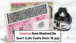 Exciting News: Driving Licence Costs Slashed from 15 July – Government Unveils Exclusive Discount for Select Citizens!
