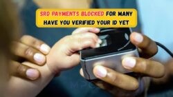 Deadline Alert: SASSA Urges SRD Beneficiaries to Verify IDs by 1 Oct or Risk Losing R370!