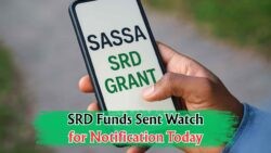 Check Your SRD Payment Now: SASSA Distributes R370 on 25 Sept – Verify with ID or Cell Number!