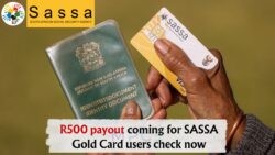 SASSA Gold Card Holders: Don't Miss Your R500 Cash Bonus on 14 July!