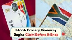 July Shoppers: Exclusive Free Grocery Relief for SASSA Card Holders at Pick n Pay – Act Fast!